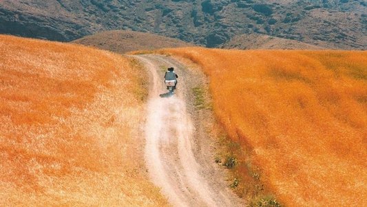 باد ما را خواهد برد