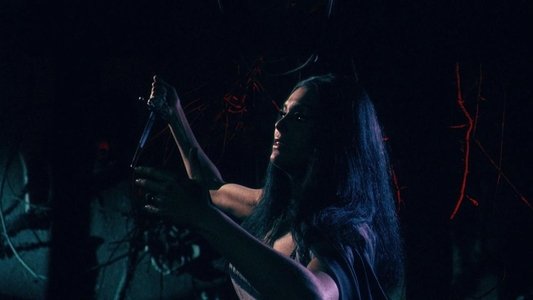 La frusta e il corpo