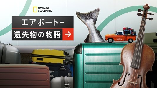 Inside Airport Lost & Found