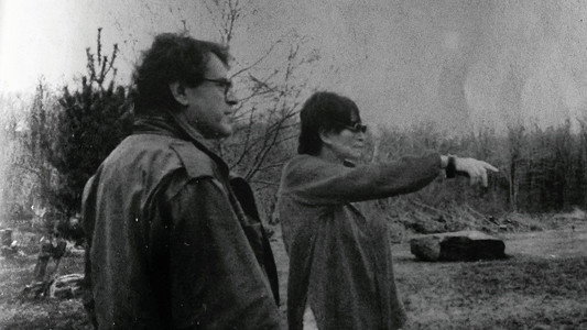 Chytilová Versus Forman