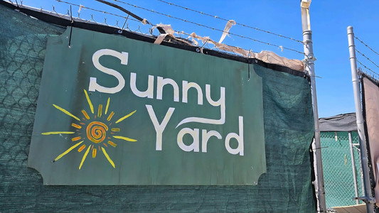 Sunny Yard