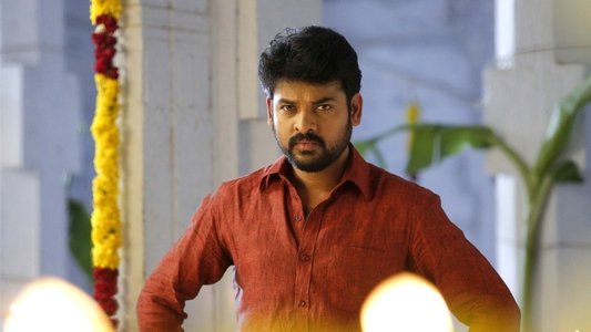 கன்னி ராசி