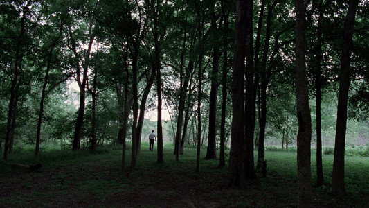The Tree of Life