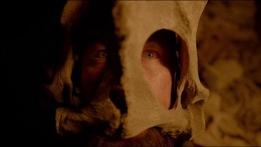 The Revenant