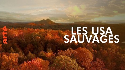 America's Wild Seasons