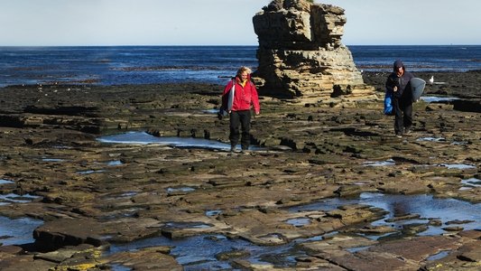 La Ola sin Fronteras: Una expedición al Atlántico Sur