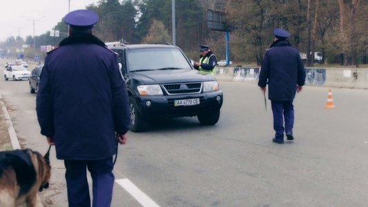Безсмертник