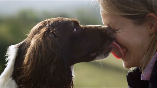 The Secret Life of Dogs