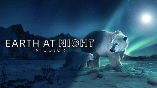Earth at Night in Colour