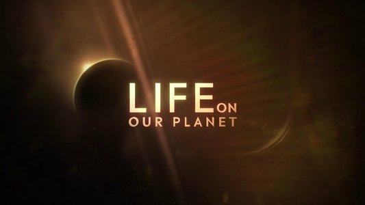 Life on Our Planet