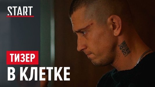 В клетке