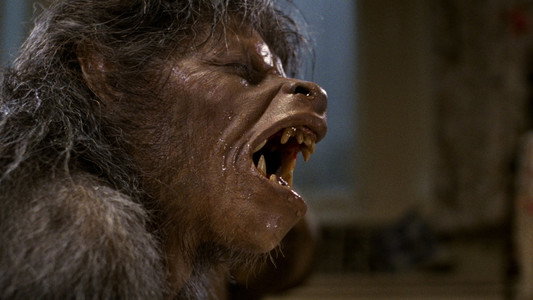 An American Werewolf in London