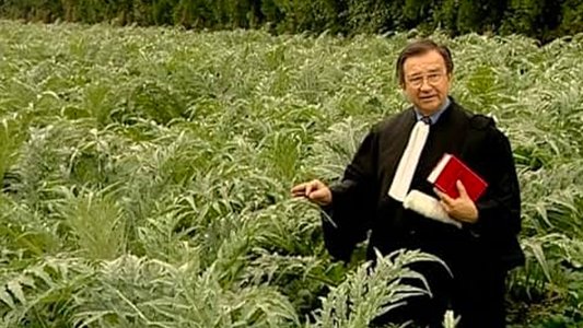 Les Glaneurs et la Glaneuse