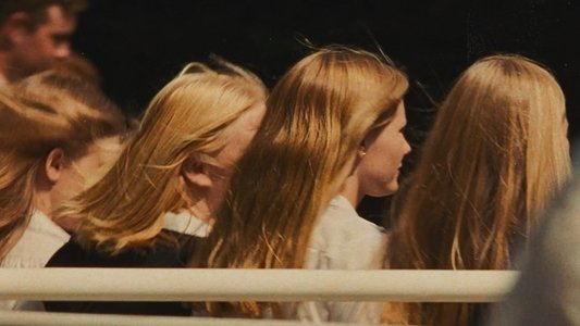 The Virgin Suicides