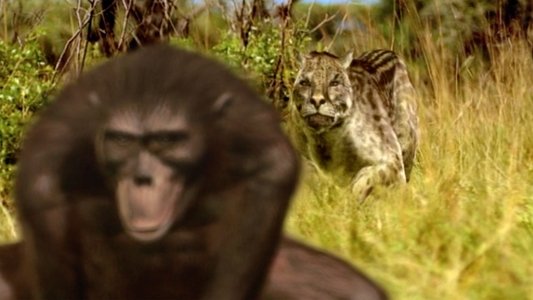 Walking with Beasts
