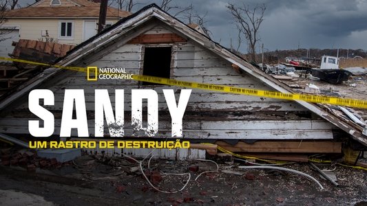Superstorm New York: What Really Happened
