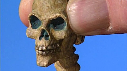 The Harryhausen Chronicles