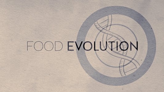 Food Evolution