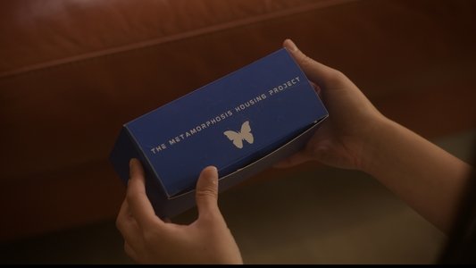 The Metamorphosis Project