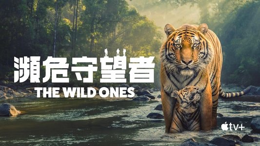 The Wild Ones