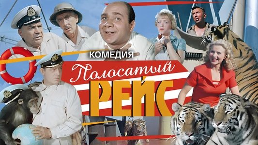 Полосатый рейс