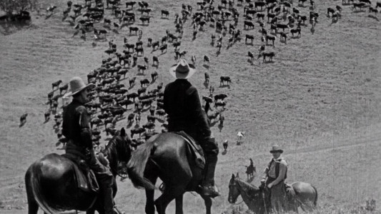Straight Shooting