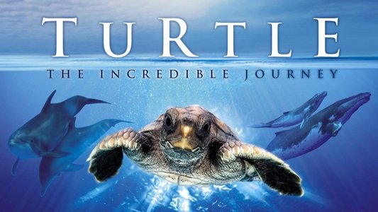 Turtle: The Incredible Journey