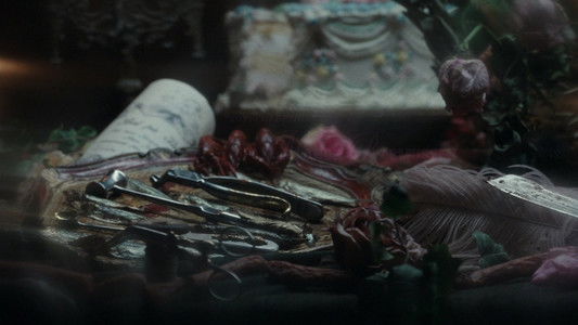 Den stygge stesøsteren