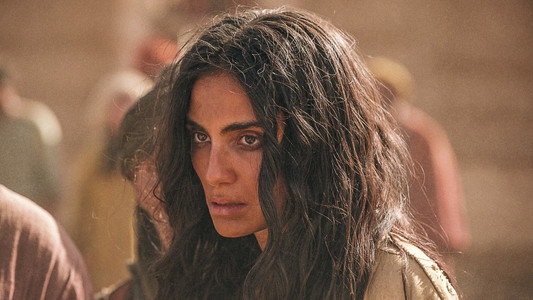 Desert Warrior