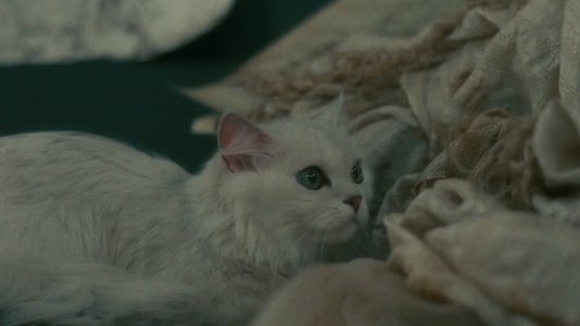 Les héroïnes du mal