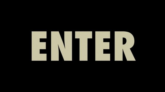Enter the Void
