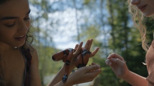 The Hunger Games: The Ballad of Songbirds & Snakes