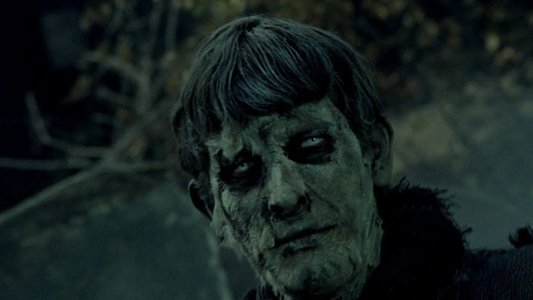 The Plague of the Zombies