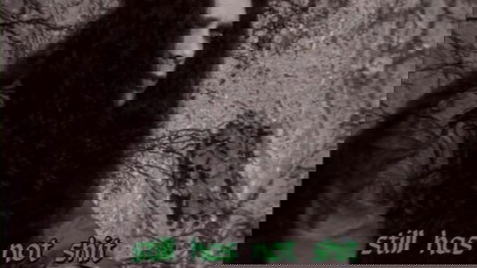 Type O Negative - After Dark