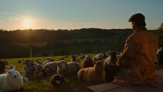 The Sheep Detectives