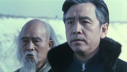 94獨臂刀之情