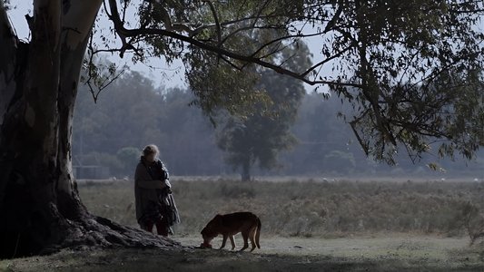 La mujer de los perros