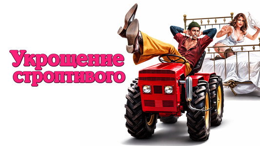 Il bisbetico domato