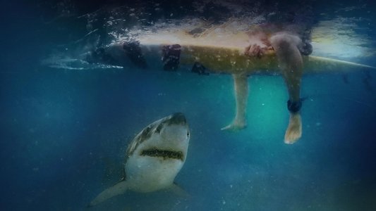 After the Bite