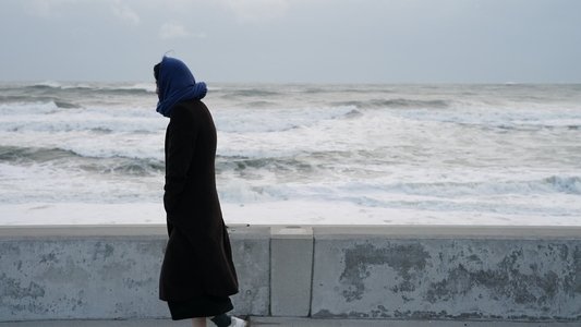 658km、陽子の旅