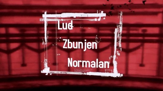 Lud, zbunjen, normalan