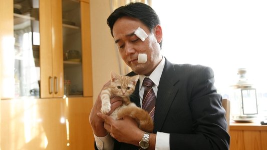 ネコナデ