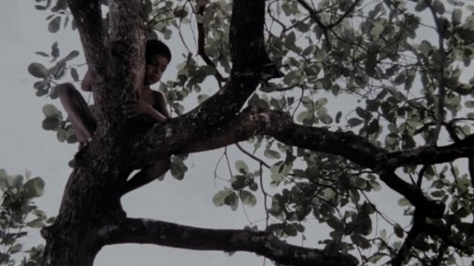 എലിപ്പത്തായം