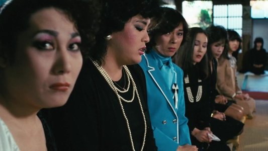 女猫