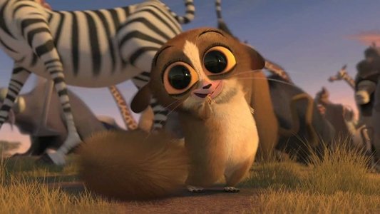 Madly Madagascar