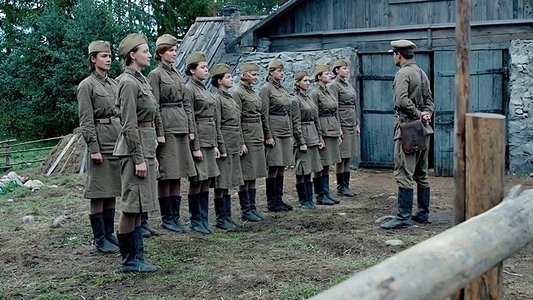 А зори здесь тихие...