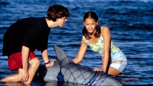 Flipper
