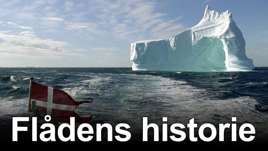 Flådens Historie