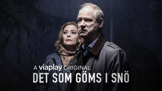 Det som göms i snö