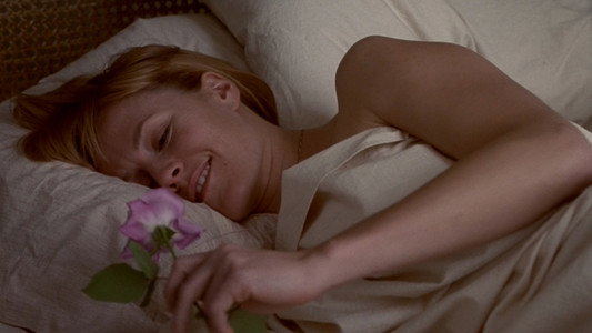 Bed of Roses